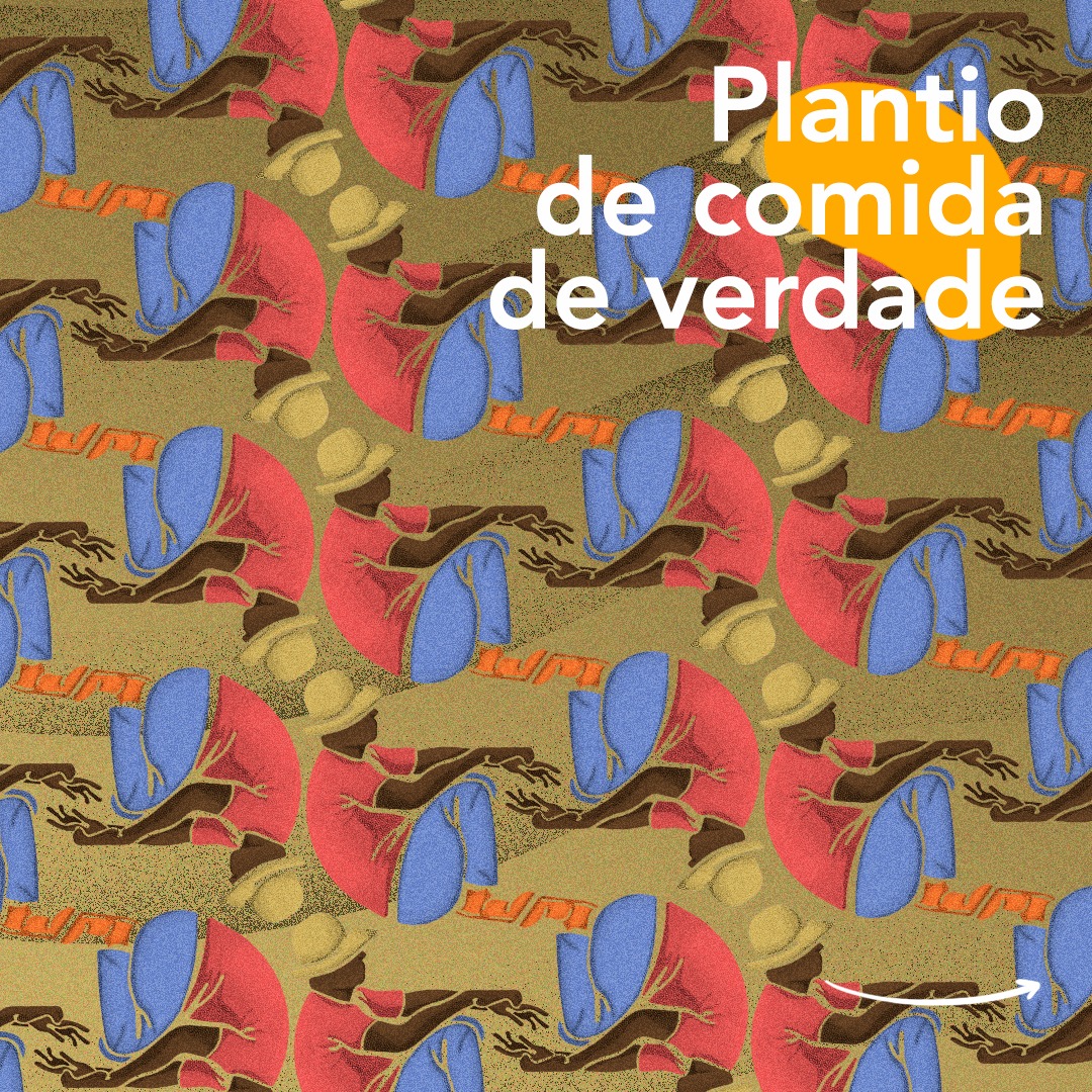 plantio de comida de verdade.jpeg