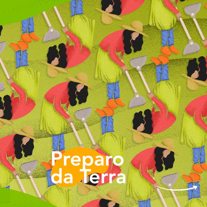 preparo da terra.jpeg
